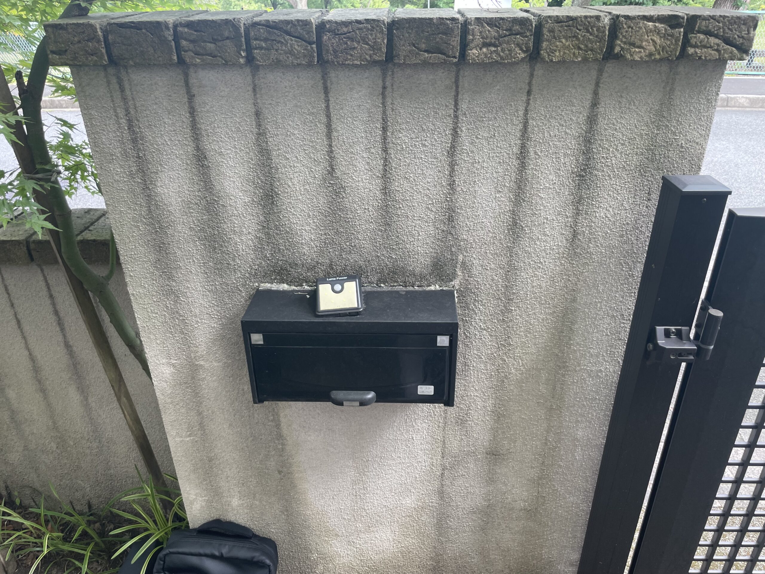 レポート画像