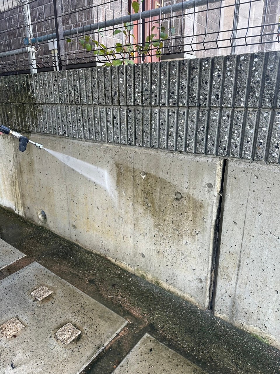 レポート画像