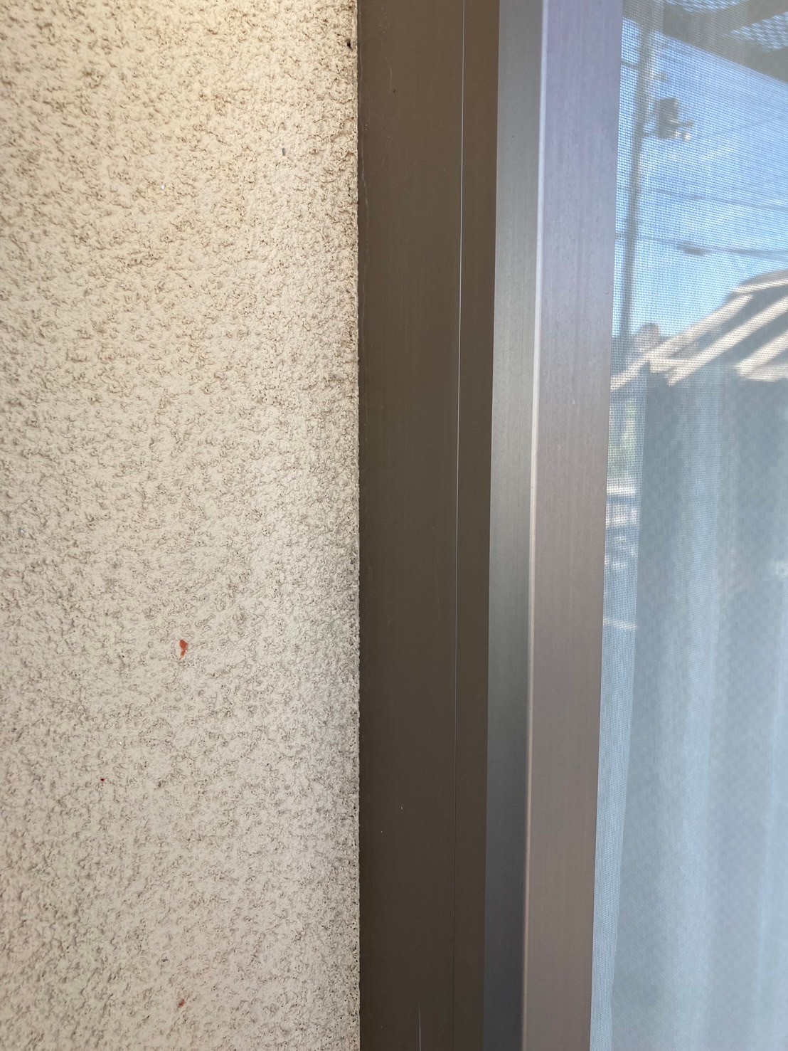 レポート画像