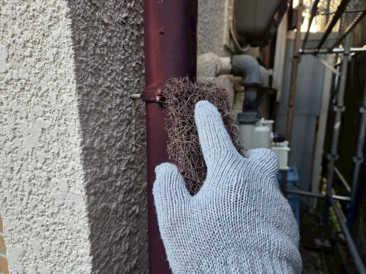 レポート画像