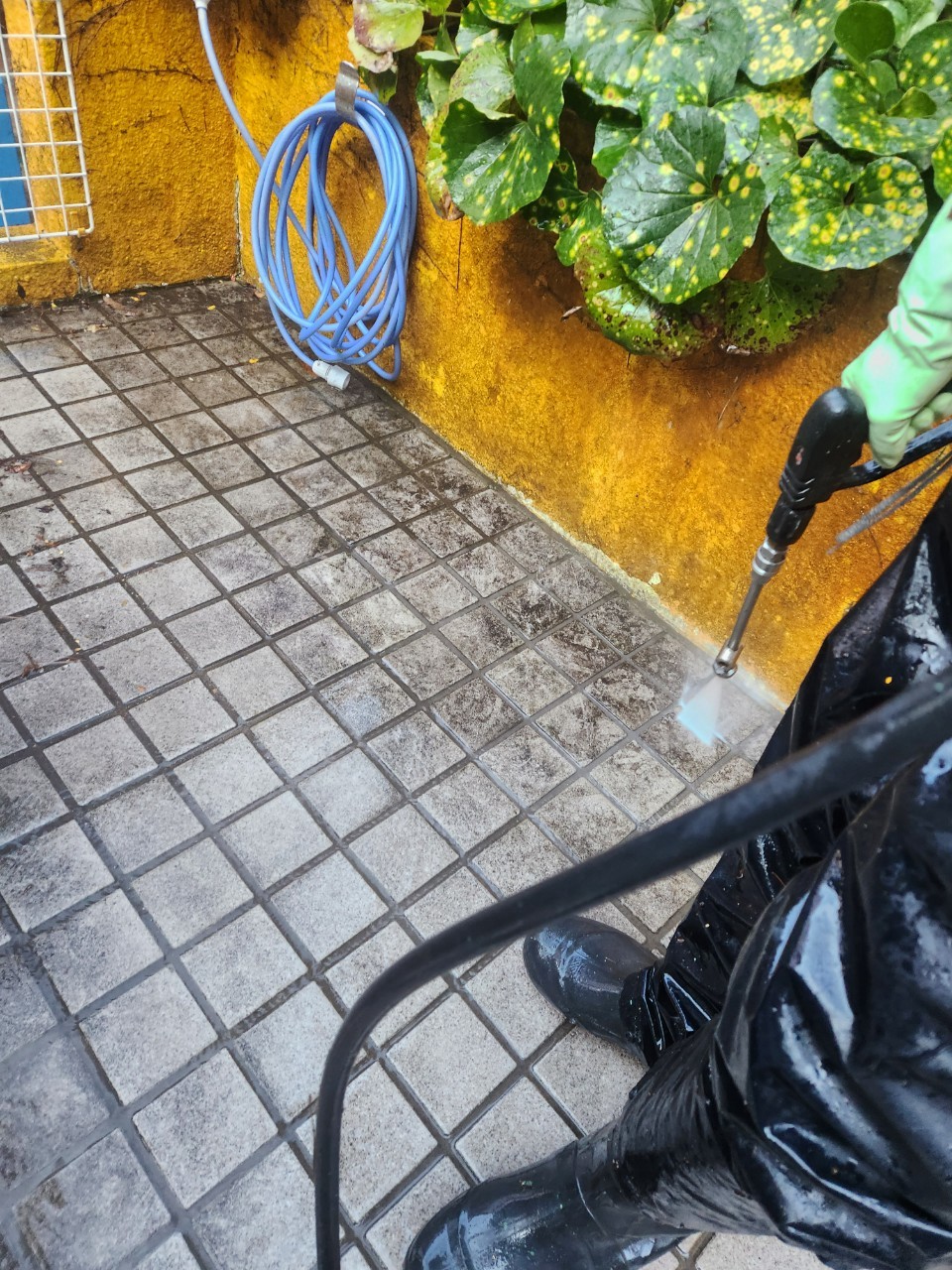 レポート画像