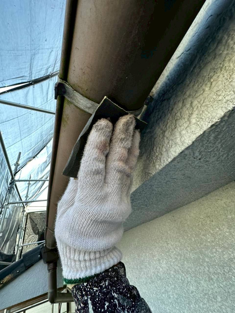 レポート画像