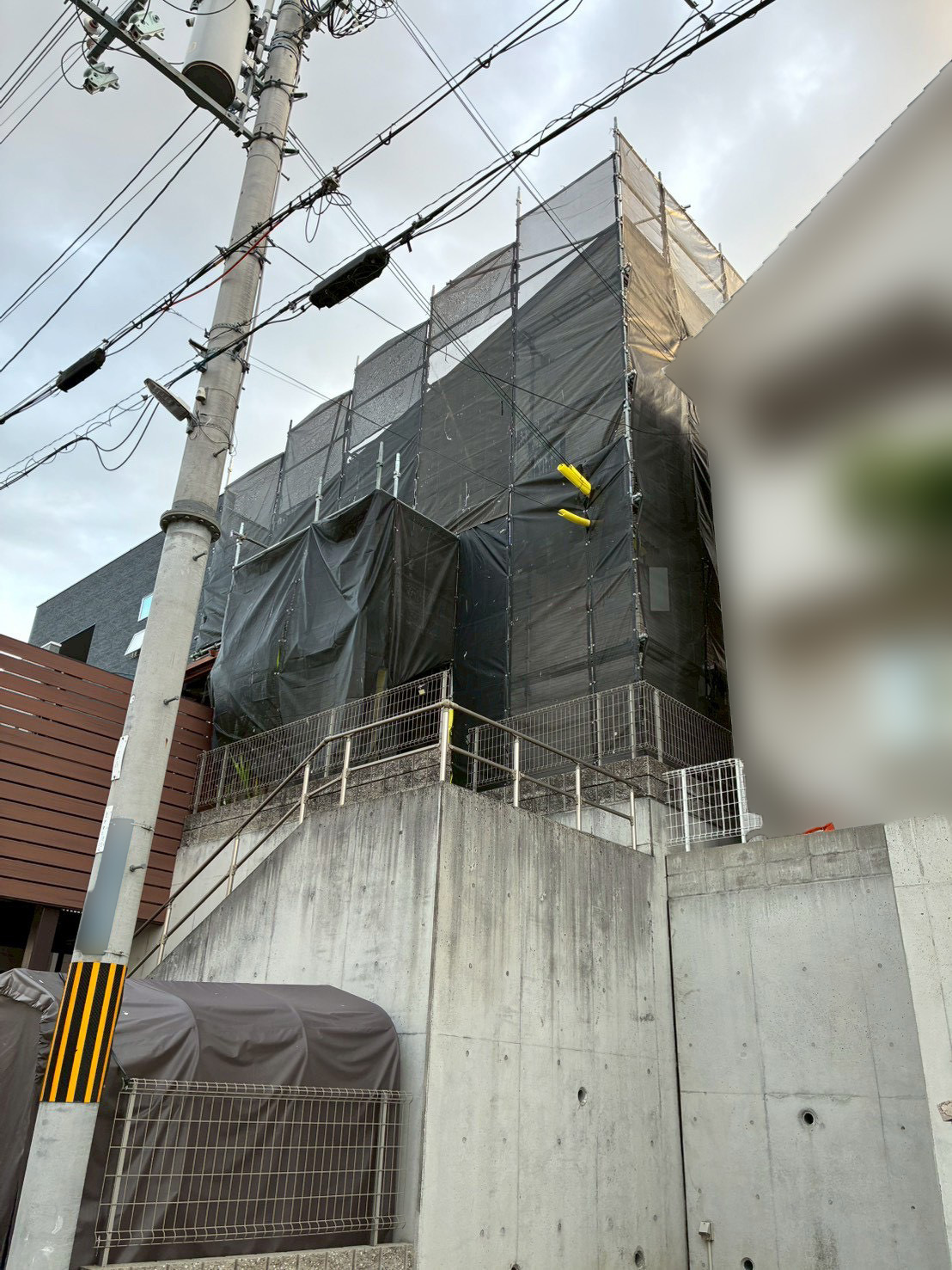 レポート画像