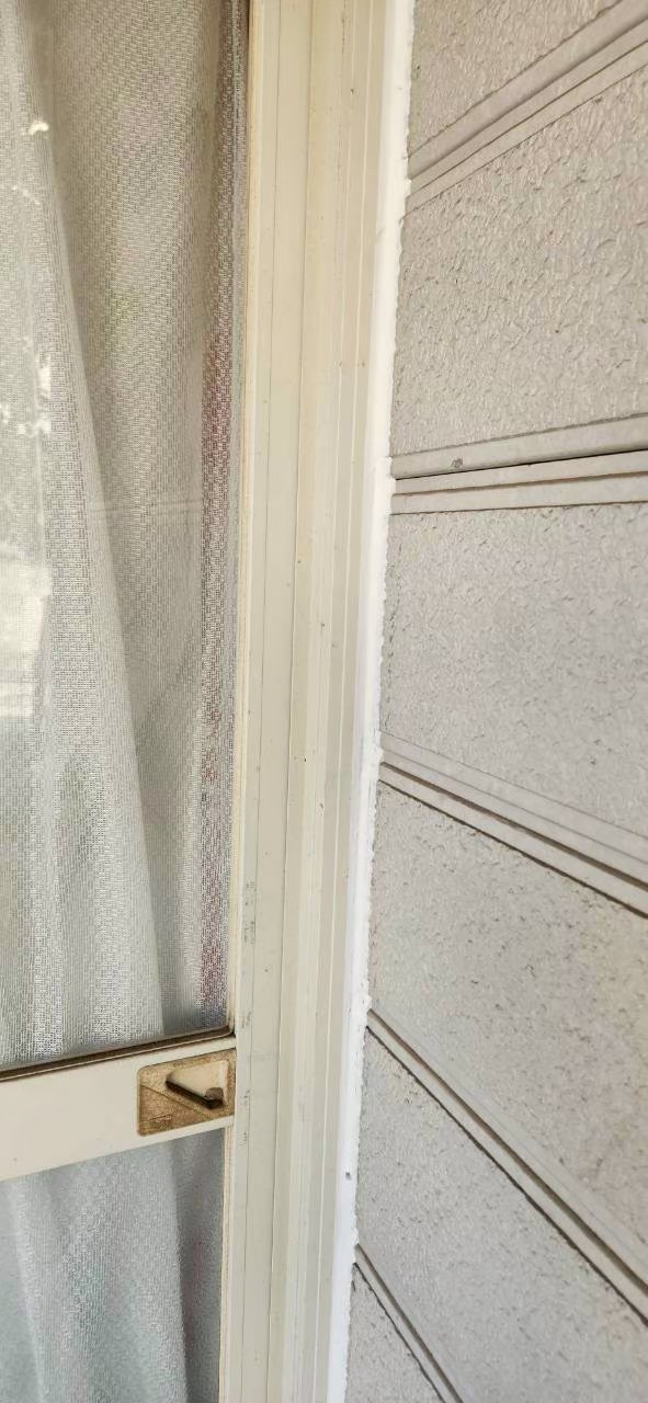 レポート画像