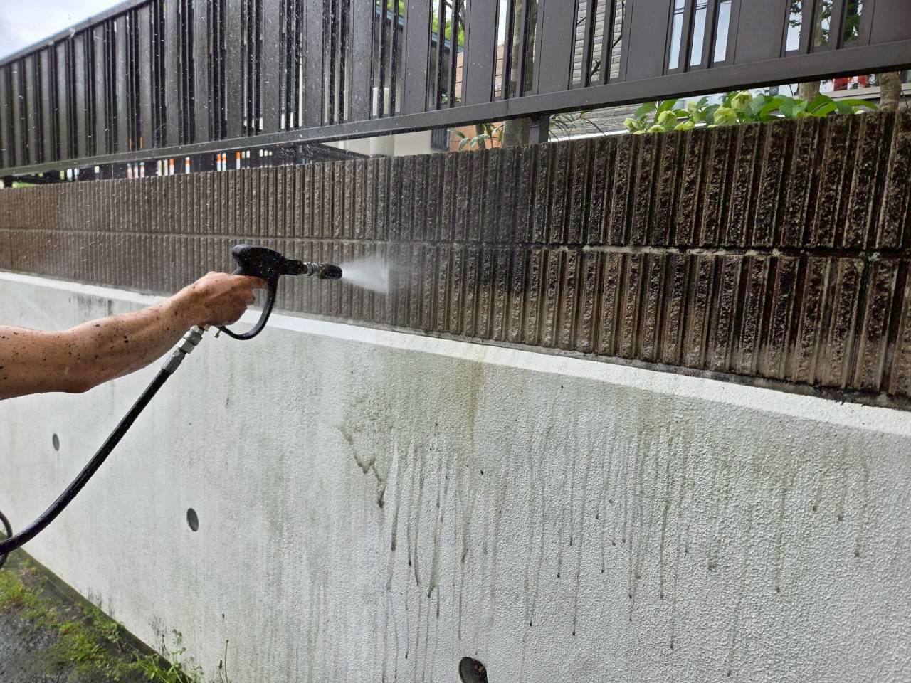 レポート画像
