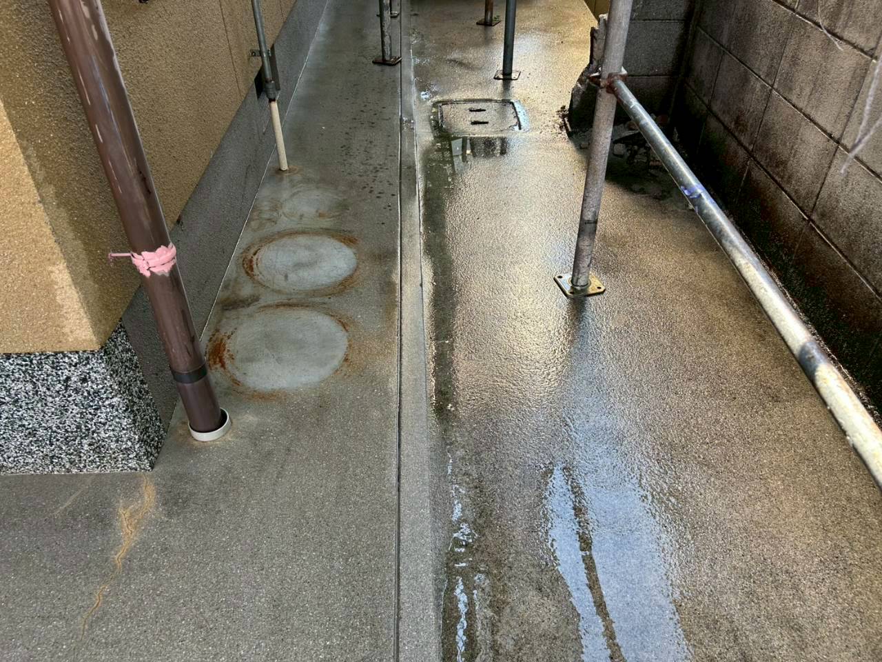 レポート画像