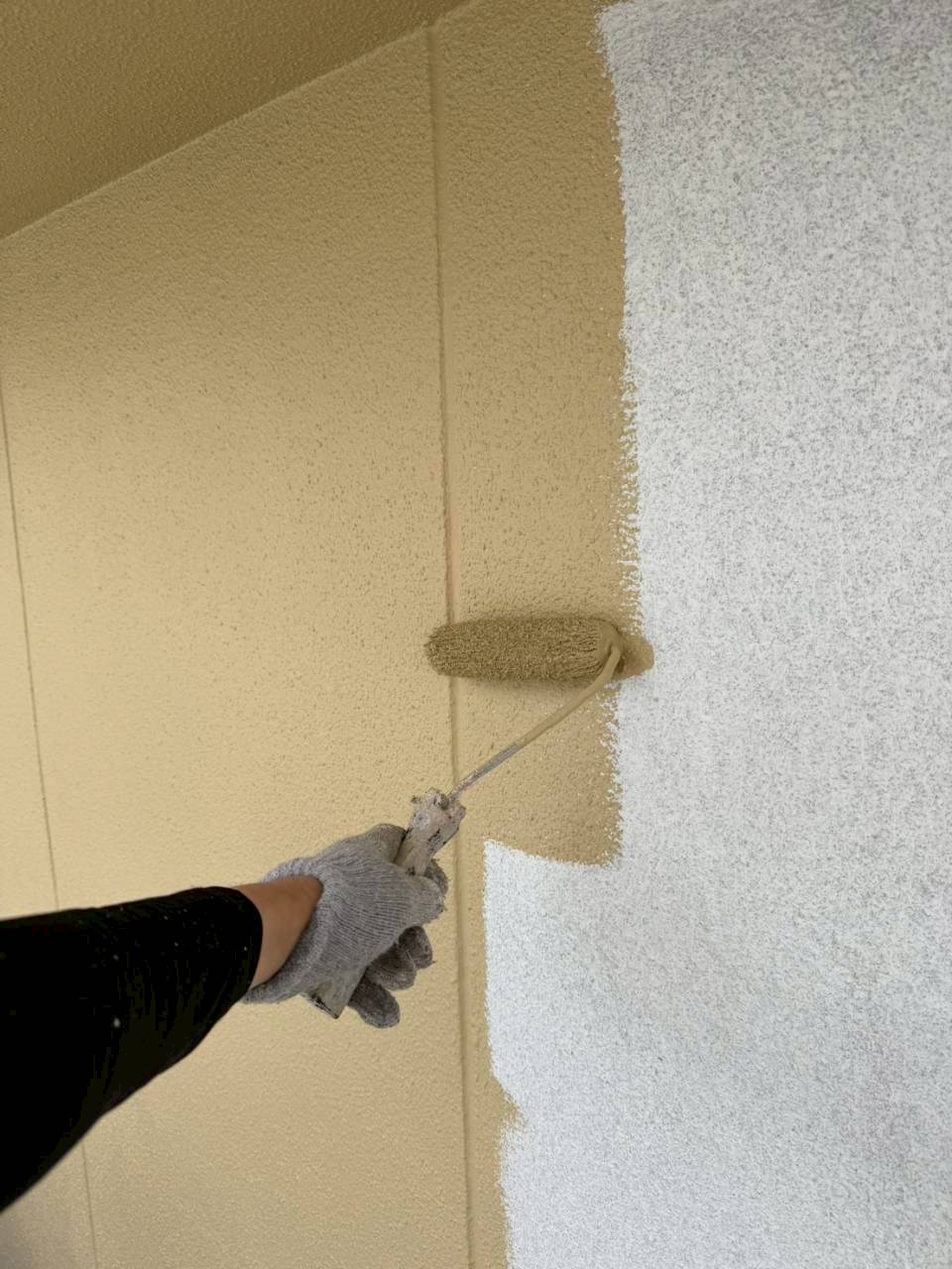 レポート画像