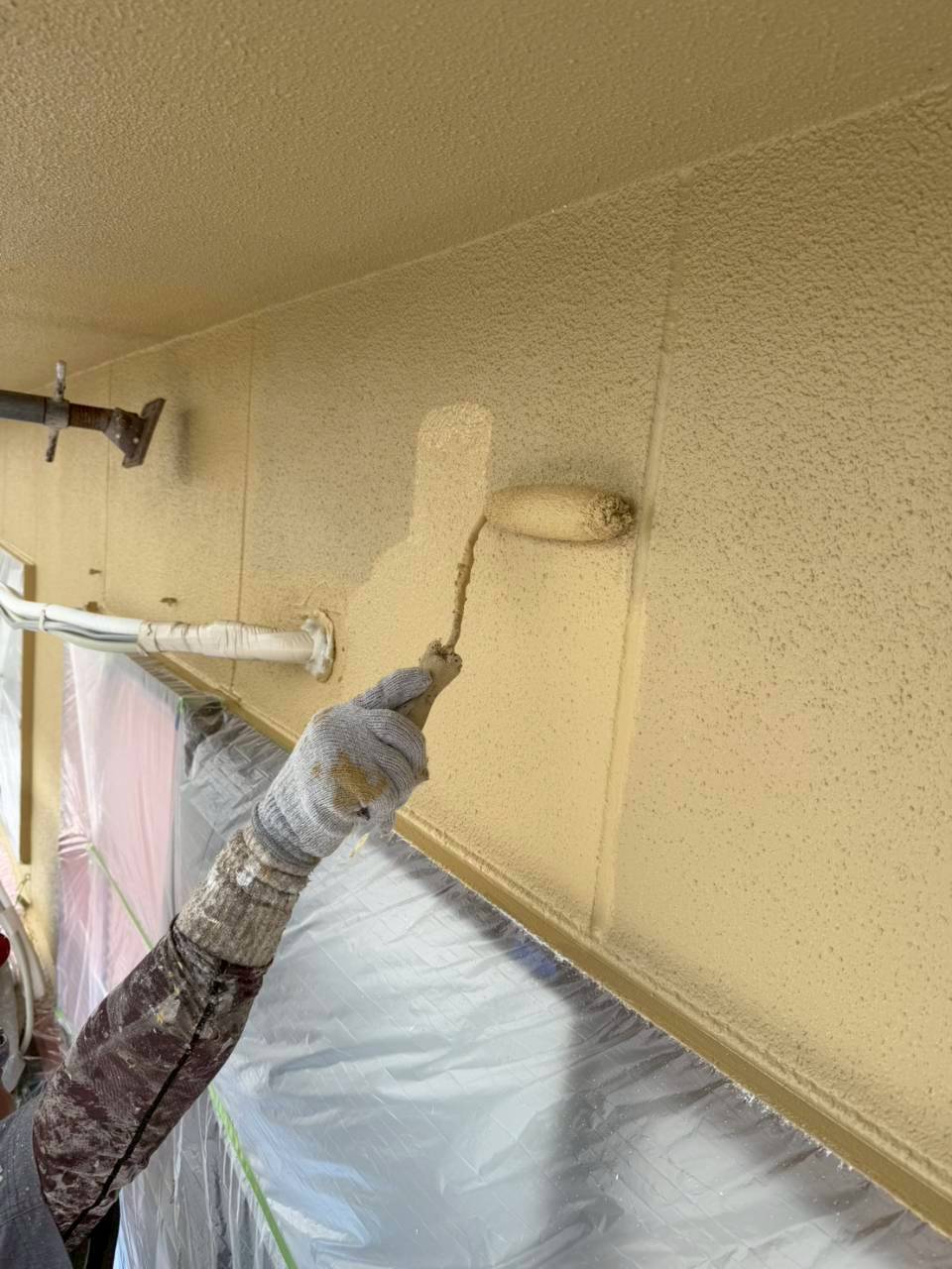 レポート画像