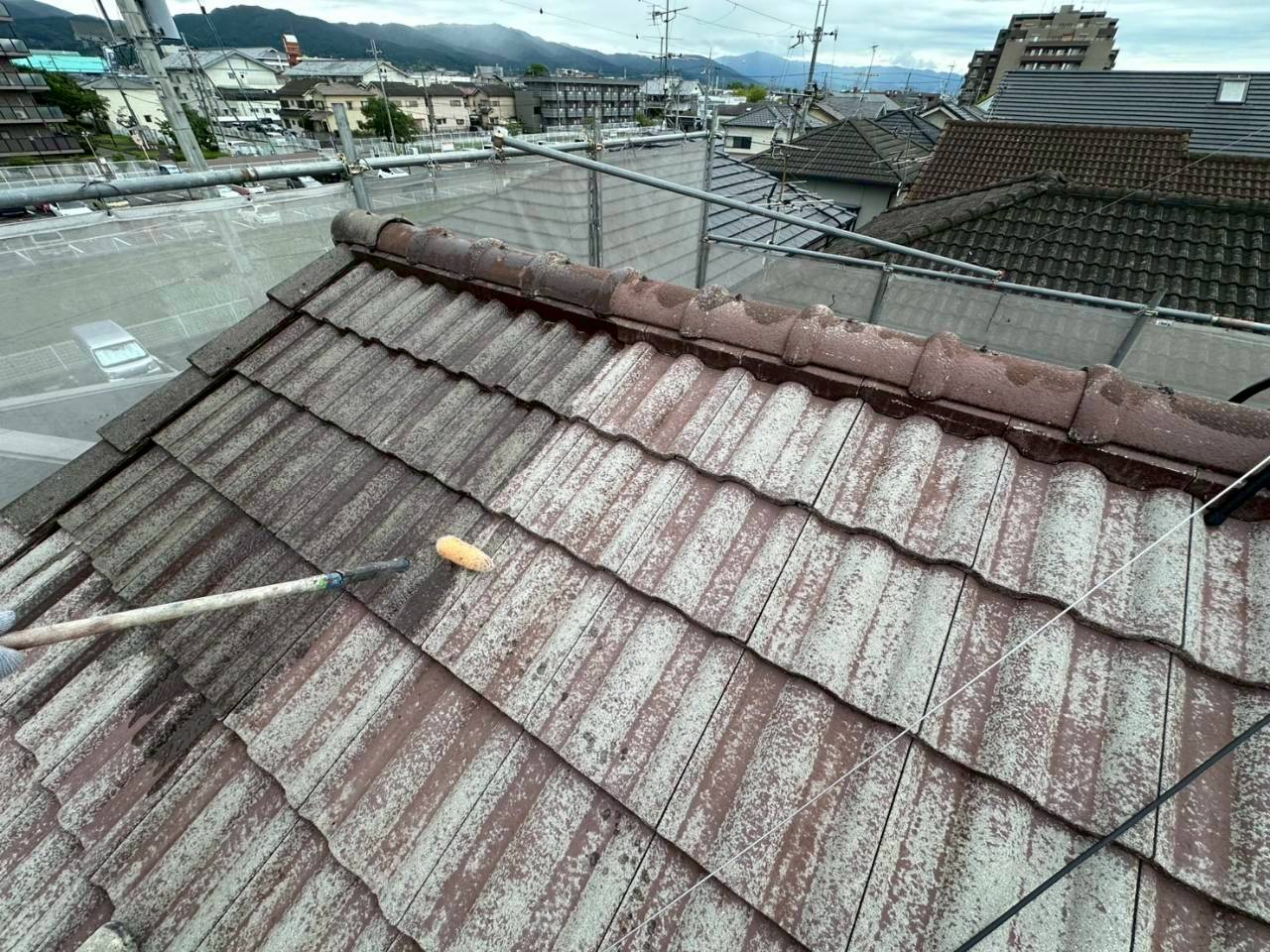 レポート画像